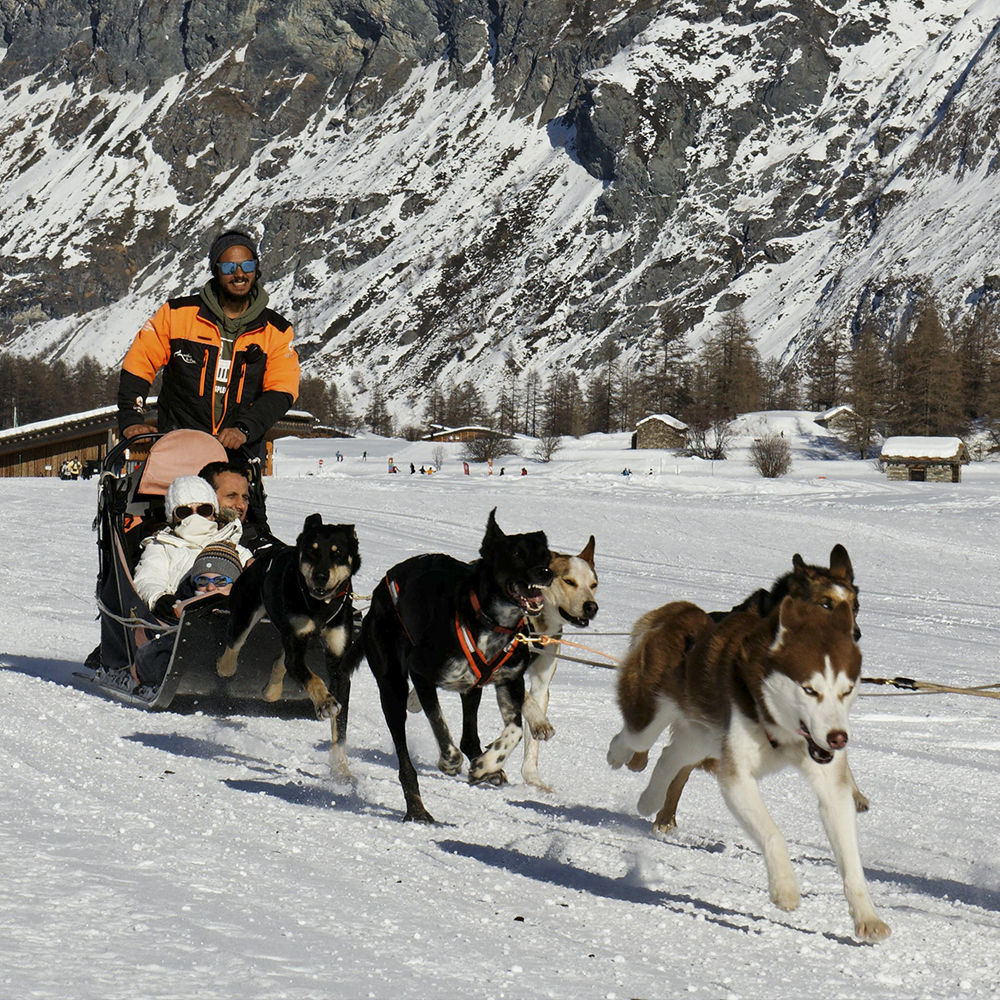 mushing
